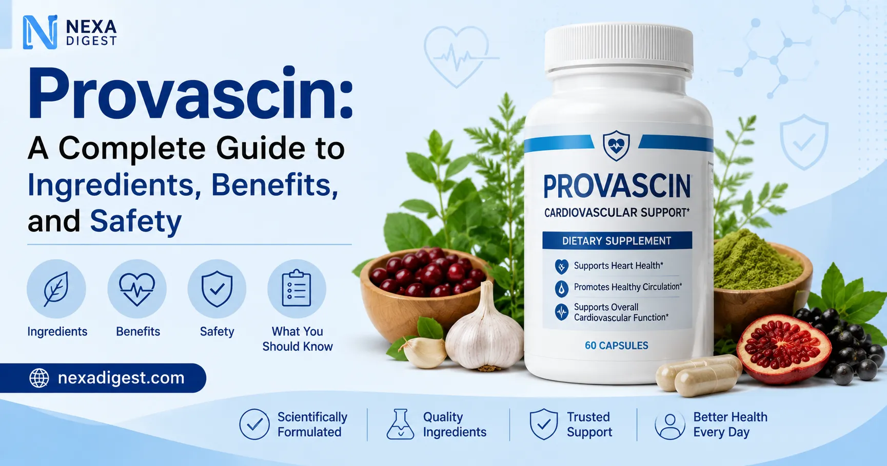 Provascin: A Complete Guide to Ingredients, Benefits, and Safety